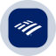 Bank of America Tokenized Stock (Ondo) icon